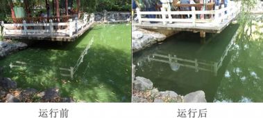 上海杨浦区某公园水体8000㎡